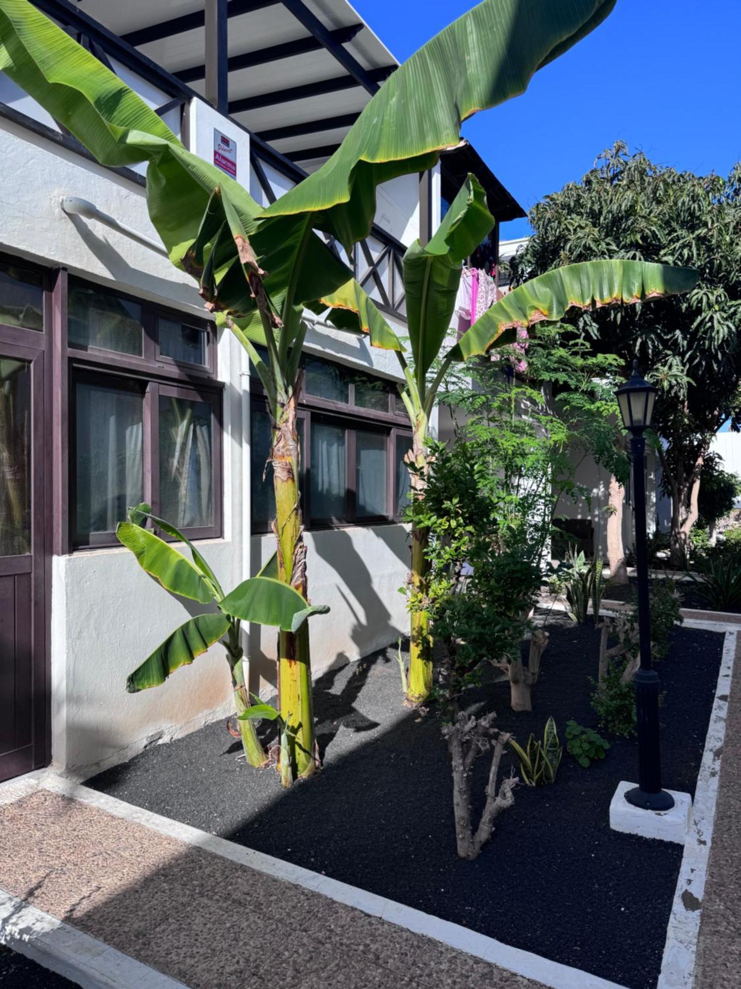דירות Tías Casa Ana Puerto Del Carmen מראה חיצוני תמונה